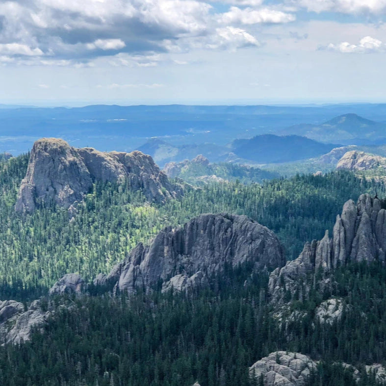 Photo of the black hills south dakota