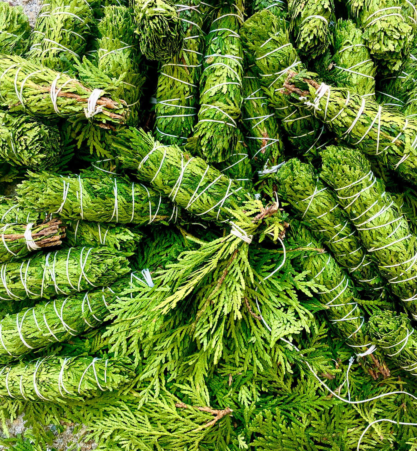 cedar smudge sticks 
