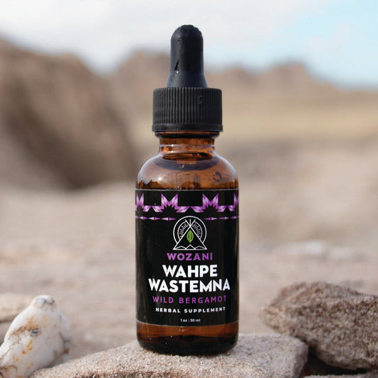 Wozani's alcohol-free Wild Bergamot herbal tincture for digestive support naturally 