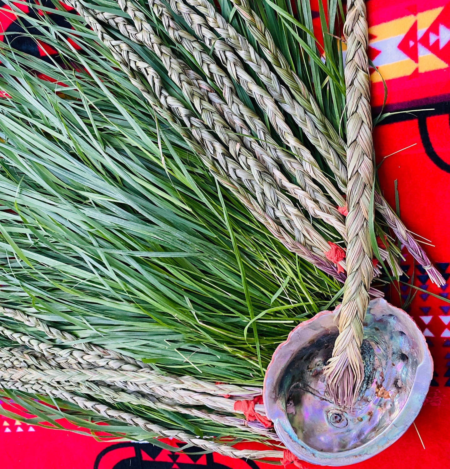 sweetgrass braids and smudge shell