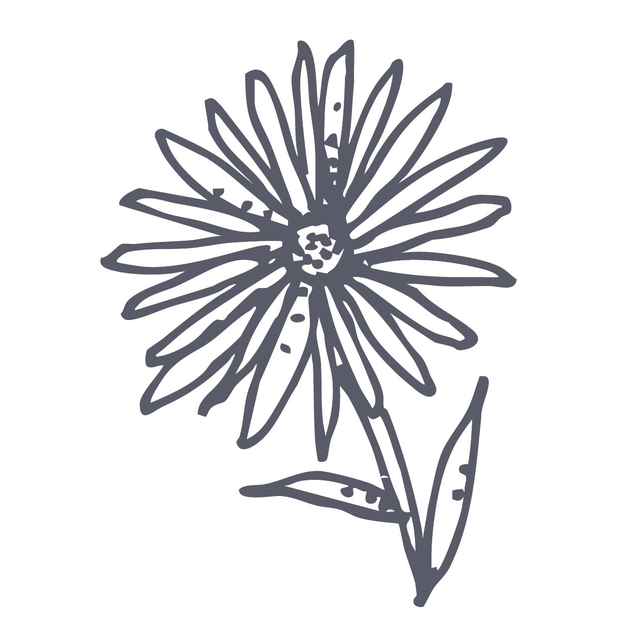Chamomile