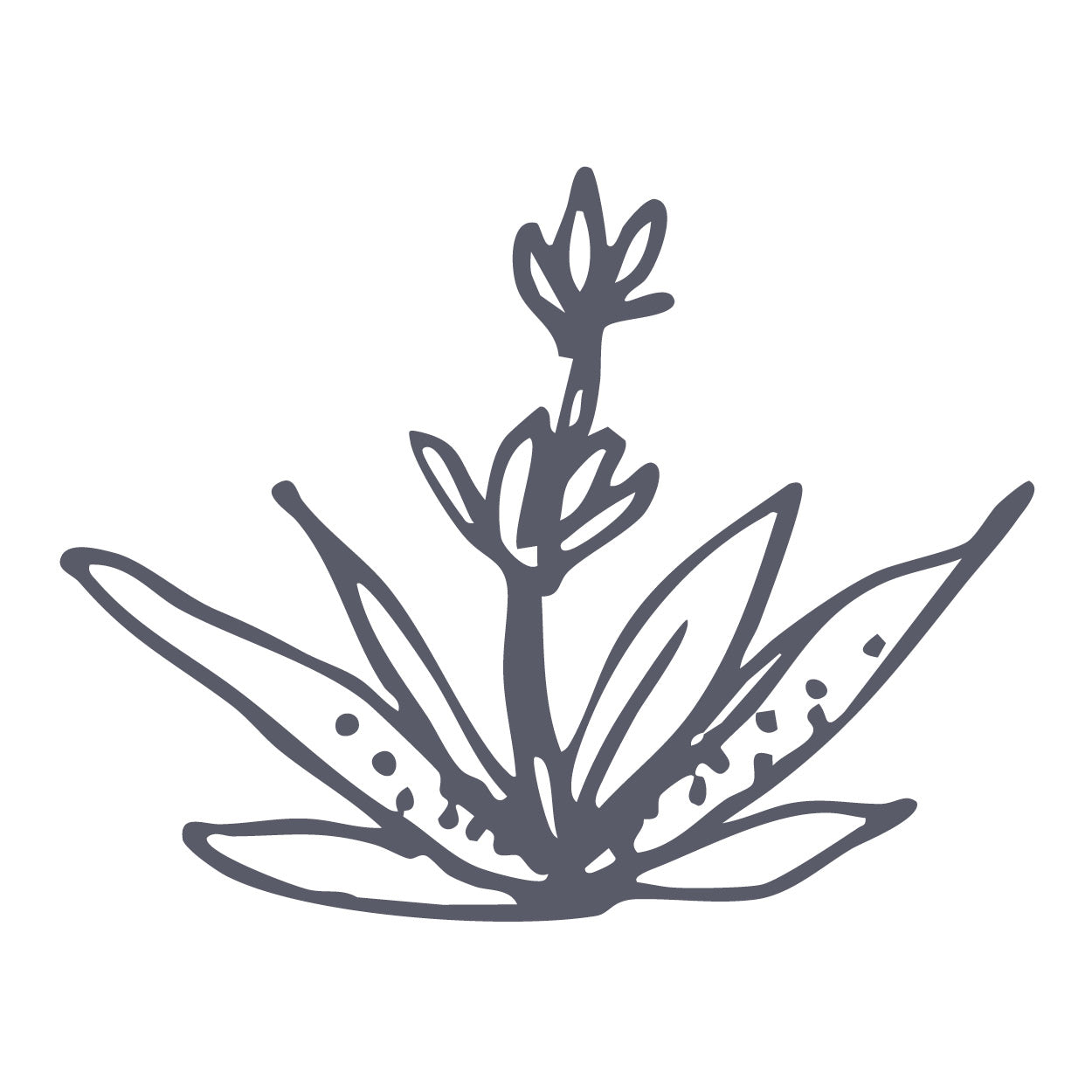 Clary Sage
