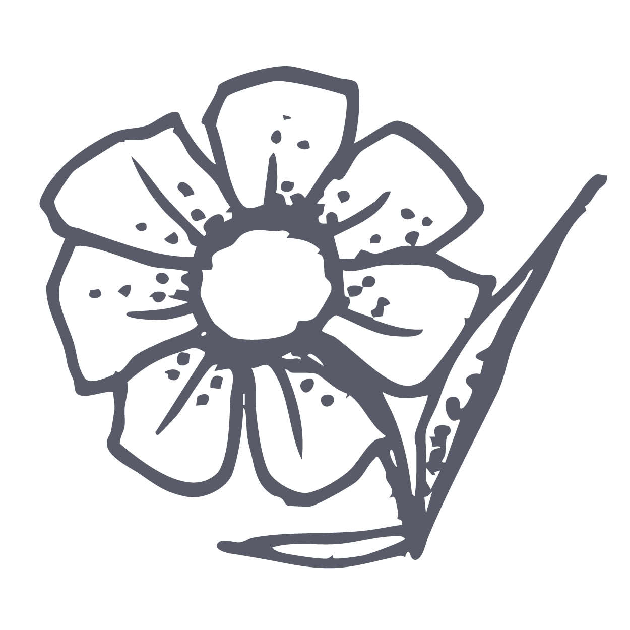 Geranium