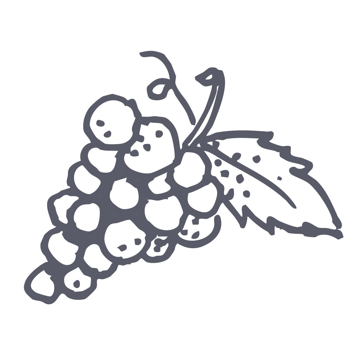 Grapeseed Oil