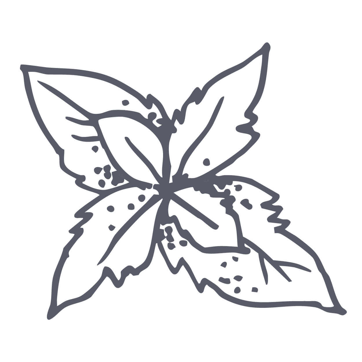 Peppermint
