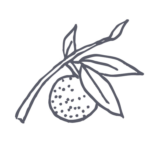 Peji Hota (Sage)