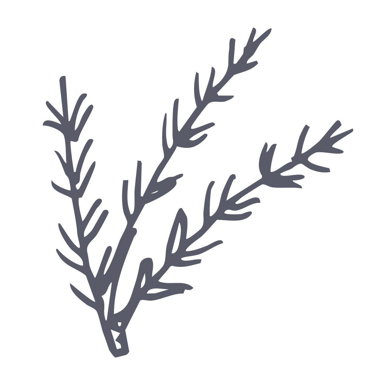 Rosemary